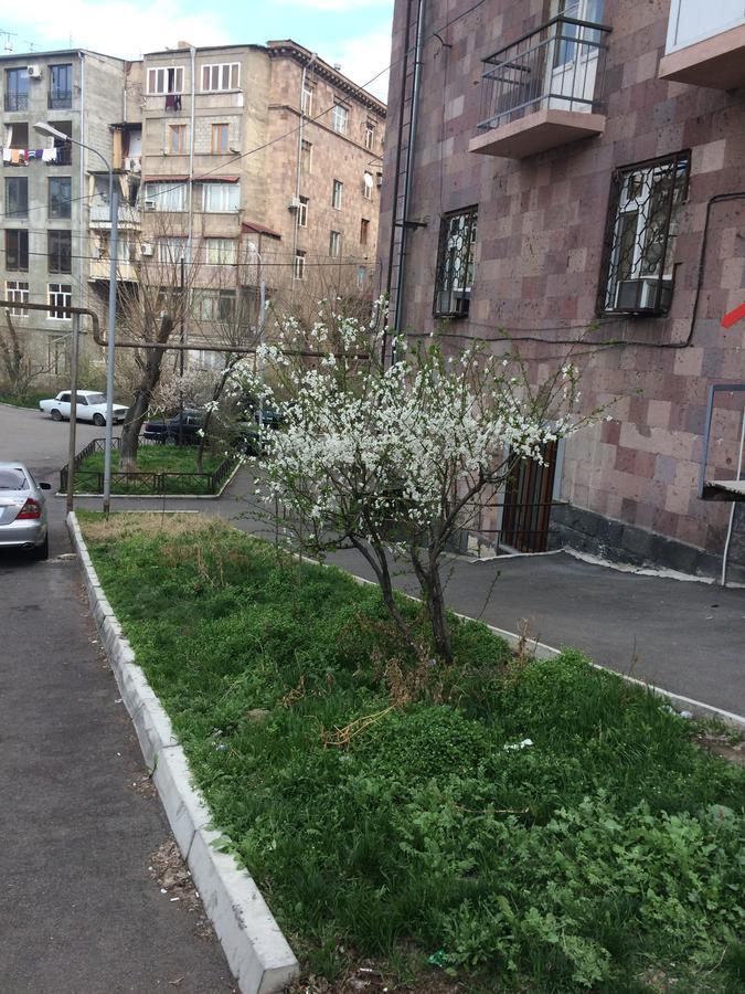 Apartment In The Center Of Yerevan Exterior photo